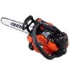 Echo CS-2511TES Professional Top Handle Chainsaw 25cc/25cm