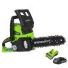 GreenWorks G24CSK2 24V Cordless Chainsaw (with 2Ah Battery And Charger)