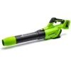 GreenWorks G24X2AB 48V (2 X 24V) Cordless Axial Blower (Bundle Builder)