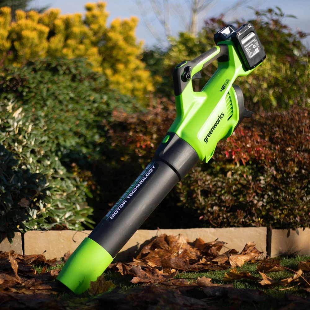 GreenWorks G24X2ABK2X 48V (2 X 24V) Cordless Axial Blower (with 2 X 2Ah 24V Batteries & Charger) - Image 6