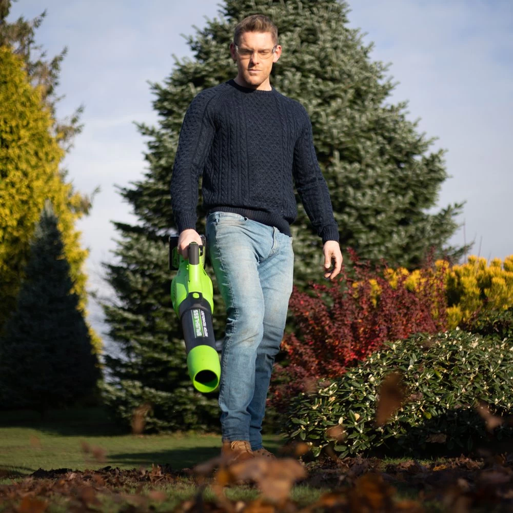 GreenWorks G24X2ABK2X 48V (2 X 24V) Cordless Axial Blower (with 2 X 2Ah 24V Batteries & Charger) - Image 5