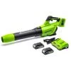 GreenWorks G24X2ABK2X 48V (2 X 24V) Cordless Axial Blower (with 2 X 2Ah 24V Batteries & Charger)