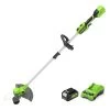 GreenWorks GD24LT33K4 33cm 24V Cordless Grass Trimmer / Lawn Edger (with 4Ah Battery & 2A Charger)