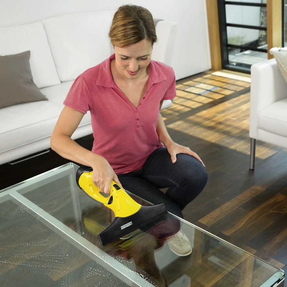 Kärcher WV 2 Plus Window Vacuum - Image 9